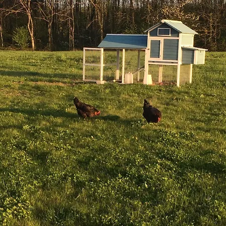 Hotel La Claire Foret Morhange