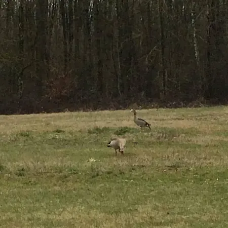 Hotel La Claire Foret 3*