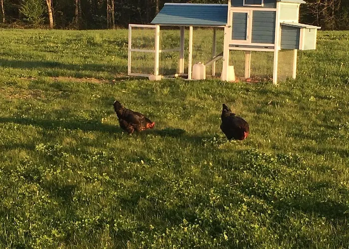 Hotel La Claire Foret Morhange